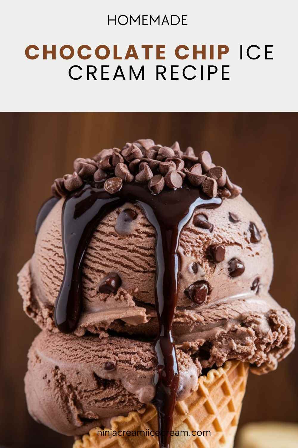 Homemade Chocolate Chip Ice Cream: Quick & Creamy No-Churn